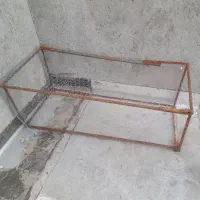 اسکلت قفس