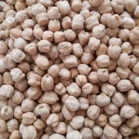 نخود درجه یک تمیز خوش پخت