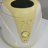 سرخ کن مینی