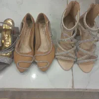 کفش مجلسی