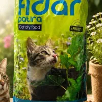 فیدار گربه بالغ تک و عمده