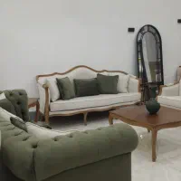 مدل ابزاری با چستر
