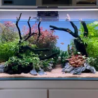 آکواریوم ریملس حرفه ای