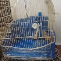 قفس پرنده و با وسایل و دانه زیاد