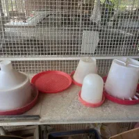 آبخوری دانخوری بلدرچین و مرغ سینی دان خوری مرغ