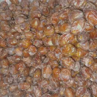 خرما|خوردنی و آشامیدنی|بندرعباس, |دیوار