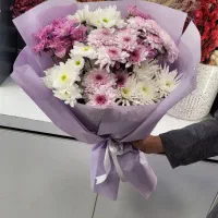 داوودی و بابونه بسته ای فقط ۱۲۰ تومن
