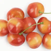 گیلاس