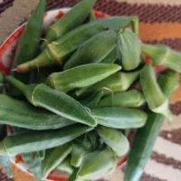 بامیه تازه.چین روز