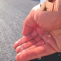 باغ با درختان ثمری