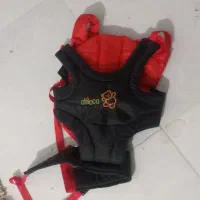اغوشی