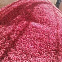 زرشک پفکی اعلا خراسان تحویل رایگان در بوشهر