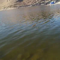 باغ سفیداب حبیب اباد