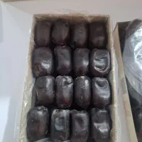 خرما مضافتی
