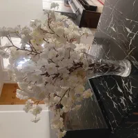 گل شکوفه ای