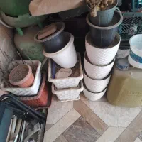 تعدادی گلدان تمیز