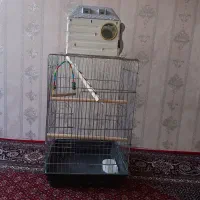 قفس پرنده