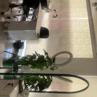 سالن ارایشی  واگذاری