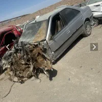 پارسelxتصادفی۸۳