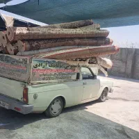 قالیشویی بزرگ آزادی