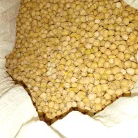 نخود|خوردنی و آشامیدنی|شیروان (لرستان), |دیوار