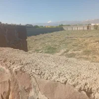 زمین کشاورزی