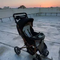 کالسکه دلیجان مدل بنیتا
