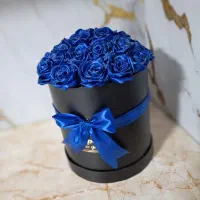 حراج|اسباب‌‌بازی|تاکستان, |دیوار