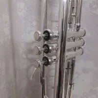 ترمپت امریکایی اومگا باخ