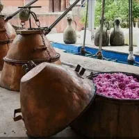 پخش گلاب و عرقیجات کاشان