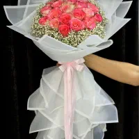 بهترین رز هلندی لیلیوم ارینتال