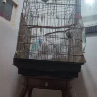 قفس پرنده کارکرده