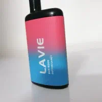 پاد LAVIE Box 6000|زیورآلات و اکسسوری|آمل, |دیوار