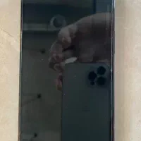 iphone 12pro|موبایل|لواسان, |دیوار