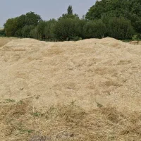 کاه