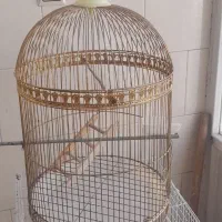 قفس پرنده