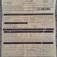 نریان خلیفه تاج عرب 17 ماه