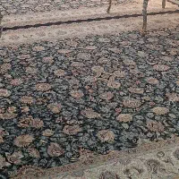 سه تخته فرش نه متری تمیز