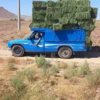 یونجه درجه یک به شرط تخلیه بدونه علف