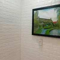 دکوراسیون منزل و محل کار /پوشش دهنده