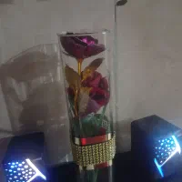 گل مصنوعی معاوضه با همچی