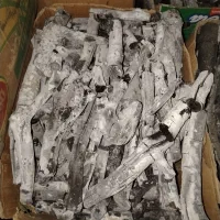 ذغال پسته