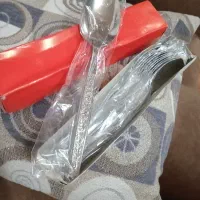 قاشق نو نو سالم