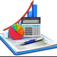 اظهارنامه مالیاتی توسط وکیل مالیاتی