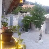 سوئیت