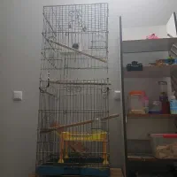 قفس پرنده