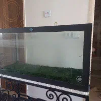 اکواریوم ۱متری