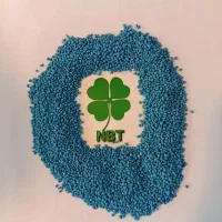 بذر یونجه معروف NBT بوجاری شده و پایه بلند