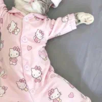 گربه