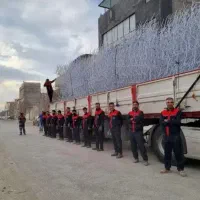 حفاظ روی دیوار شاخگوزنی بوته خاری